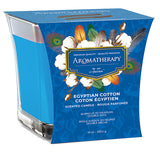 Air Fusion Candle Egyptian Cotton 10oz