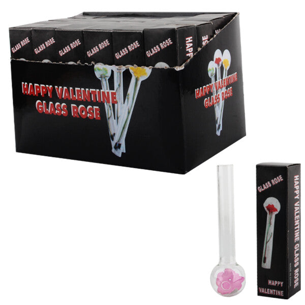 24pcs Glass Ball 4inch (36dp/cs)