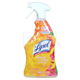 Lysol Trigger 650ml Brand New Day Mango Hibiscus